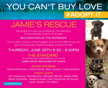 You Can’t Buy Love, Adopt It