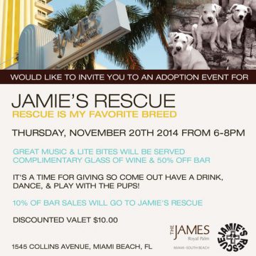 James Hotel 11/20 Rescue is my favorite breed (part deux)