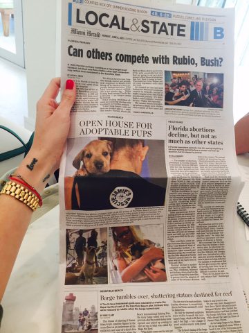 Jamie’s Rescue / Miami Herald June 8, 2015