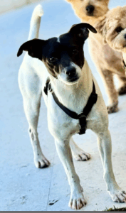 Sam